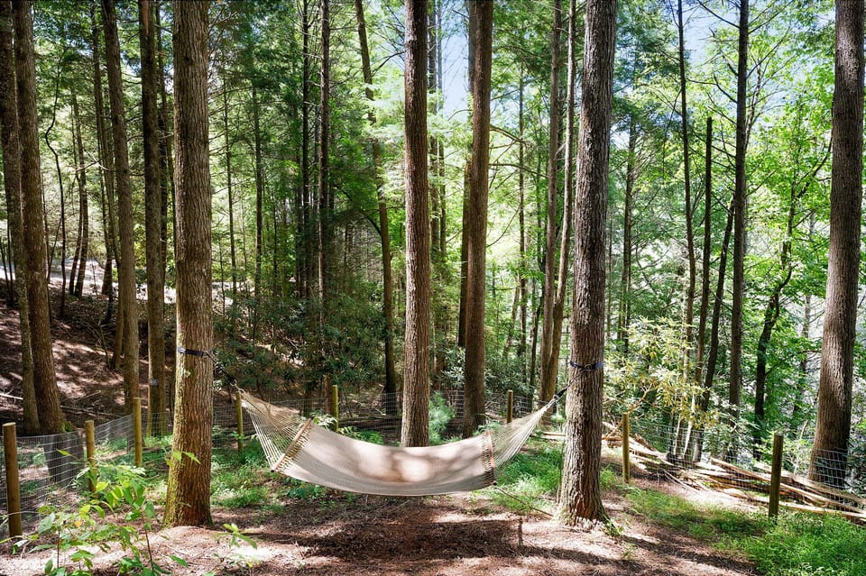 Hazy Hideaway - Hammock