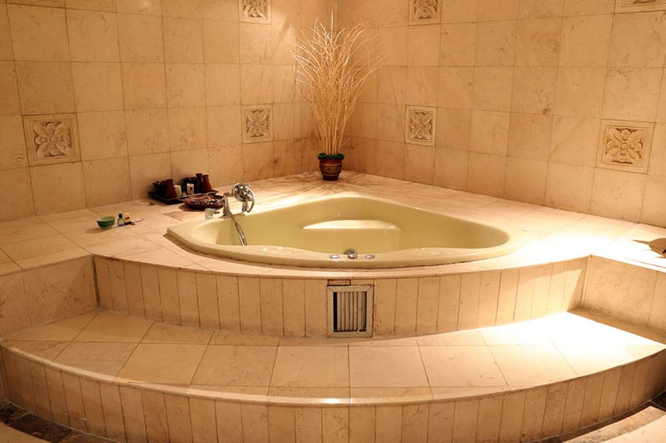 Sauna, hot tub, mud baths