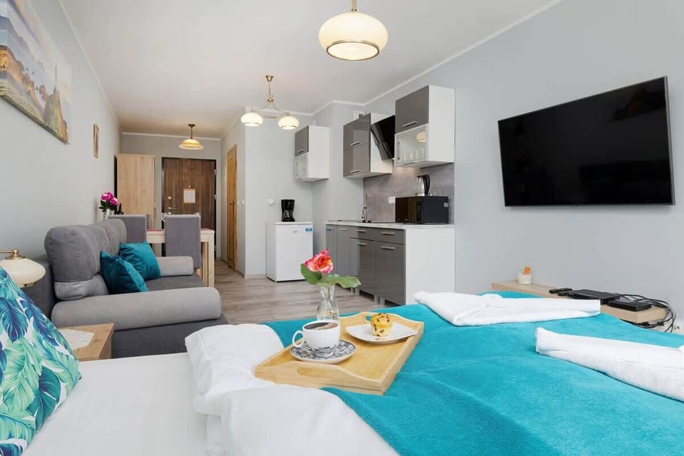 A spacious studio interior showing the bed, sofa, and television.