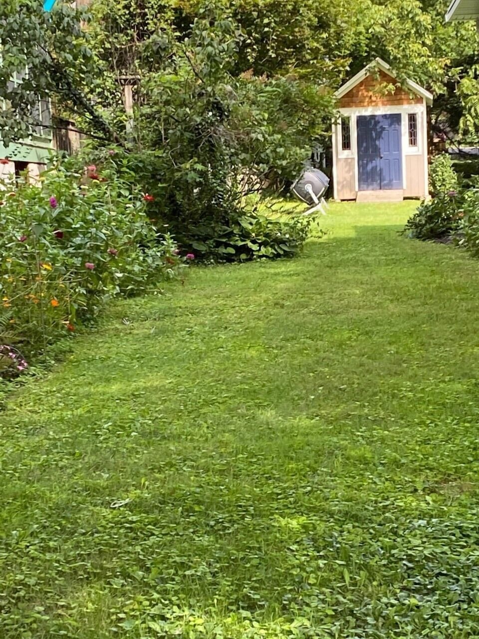 Fenced Yard private-gated 