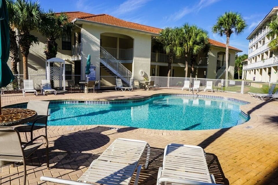Relax by the pool & enjoy the view of the beautiful palm trees.