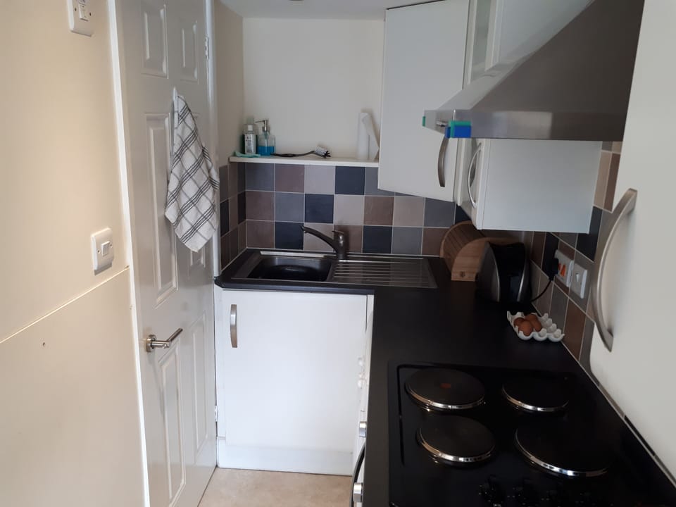 Apartment | Private kitchen | Fridge, microwave, oven, stovetop