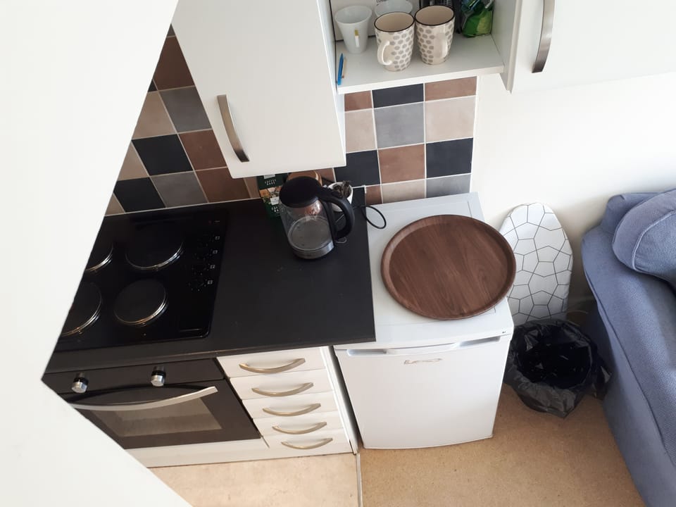 Apartment | Private kitchen | Fridge, microwave, oven, stovetop