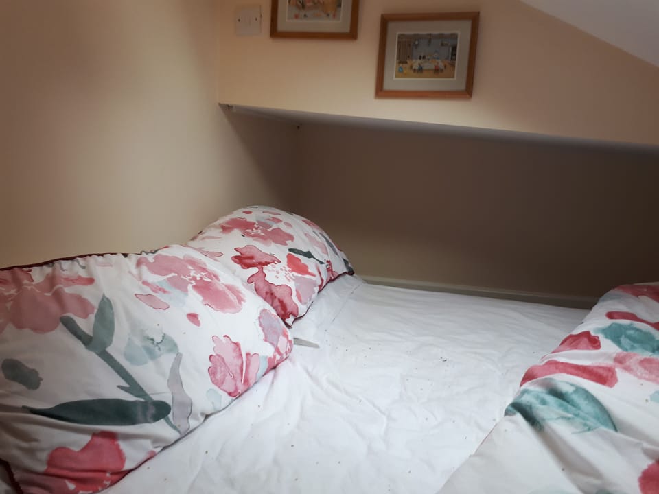 1 Bed Flat - Sleeps 2 - Pets - Garden - Parking Apartment in Lewes District