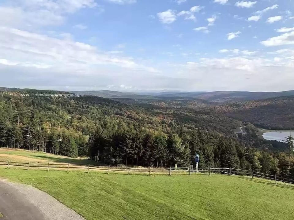 Expansive mountain and forest view