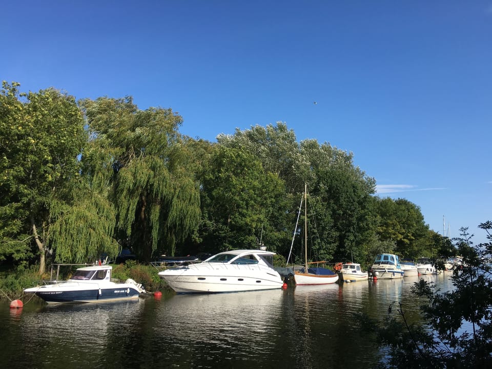 Image 28