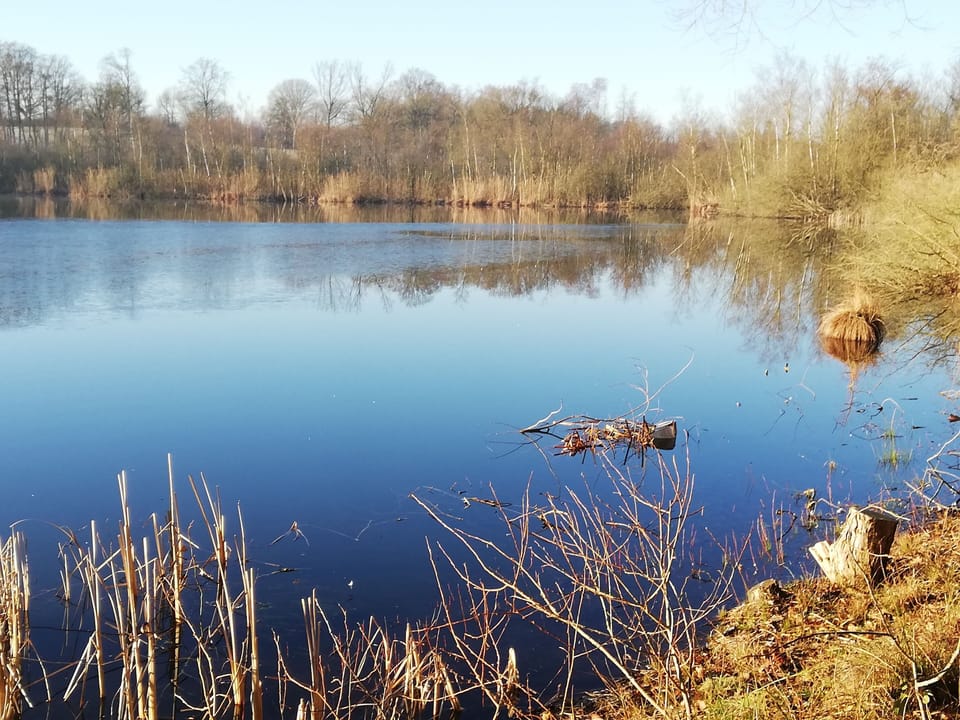 Lake