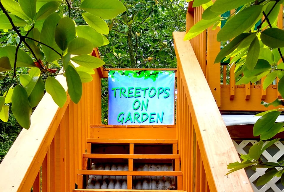 Your stairway to magnolia treetops!