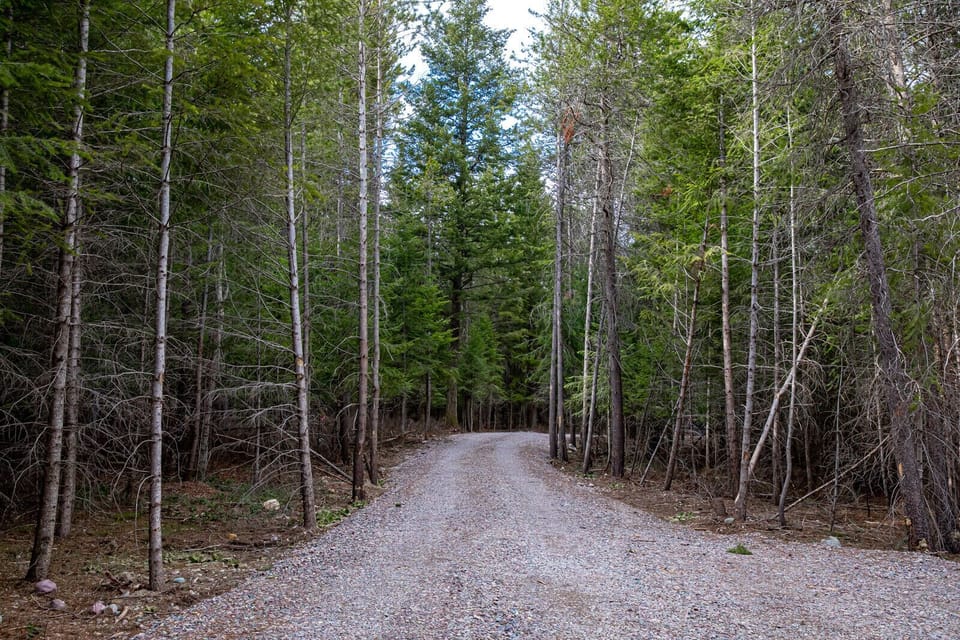 Driveway with surrounding area