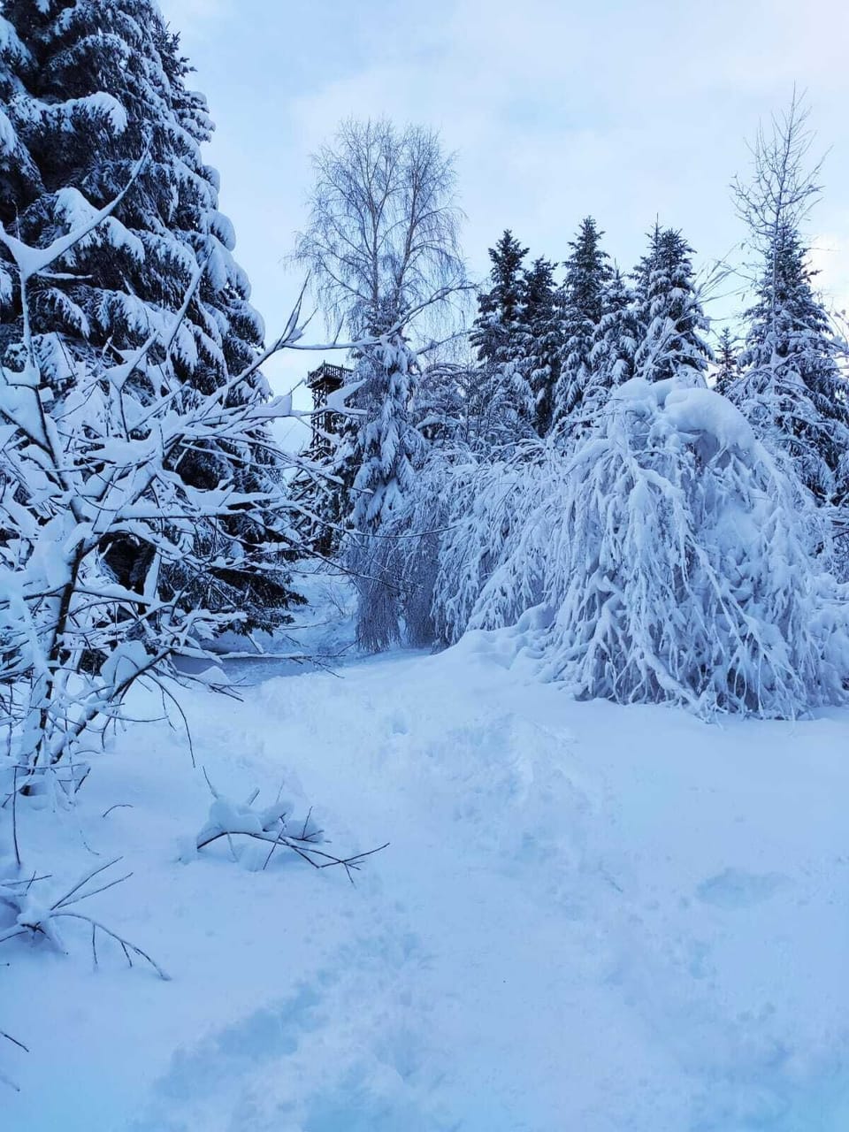 Snow and ski sports