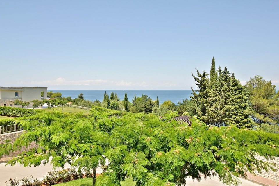 Beach view