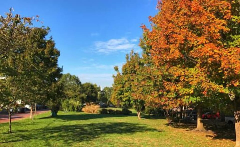 Crispus Attucks Park, a neighborhood gem
