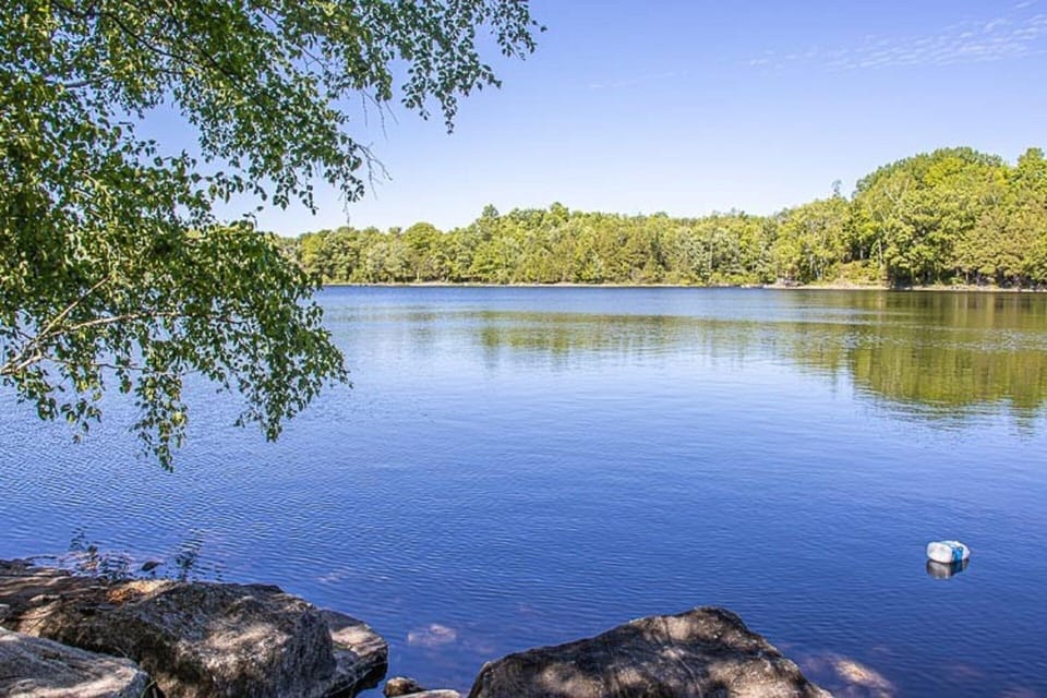 Hambly Lake View