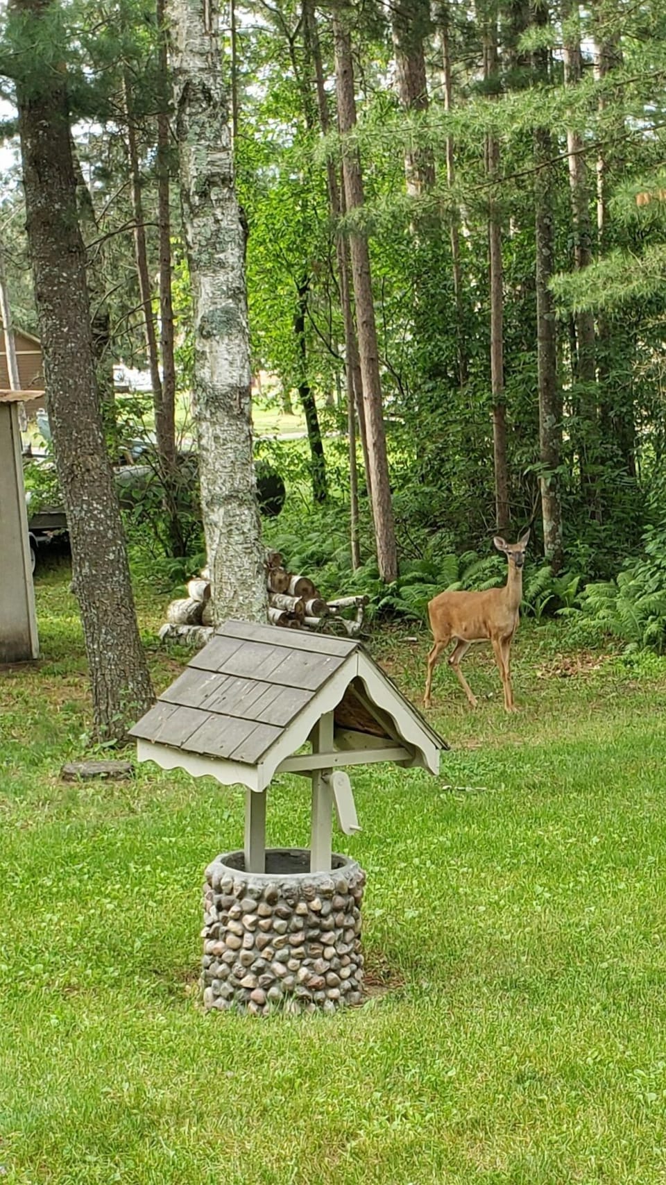 You never know when the neighbors might drop in.