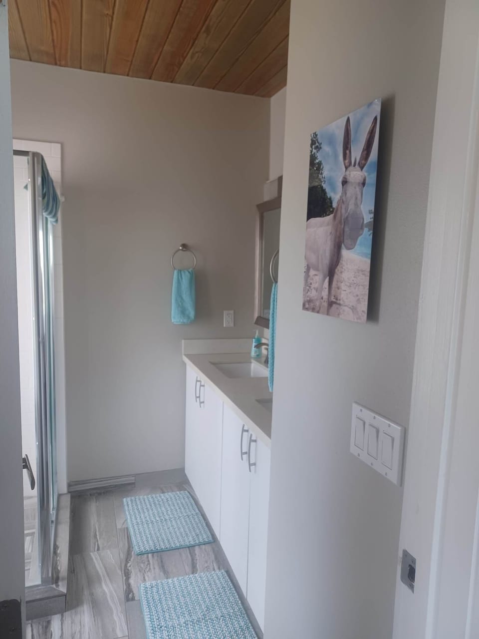 Master bathroom - double vanity