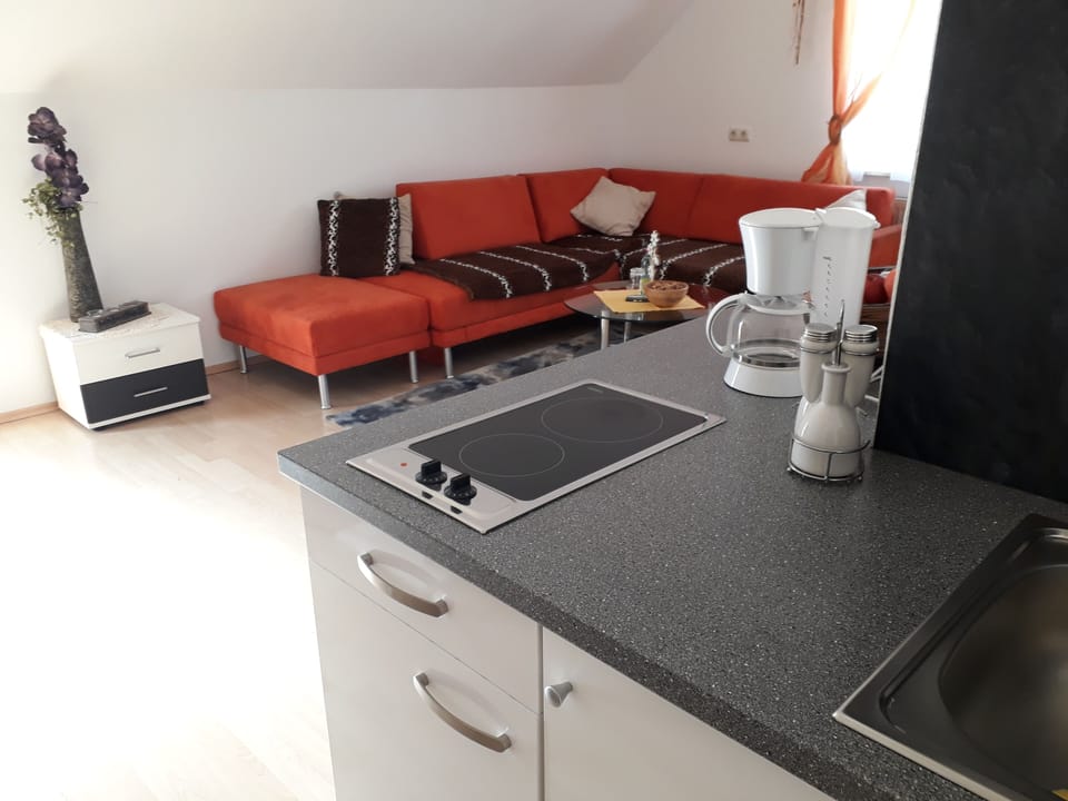 Apartment, Private Bathroom | 1 bedroom
