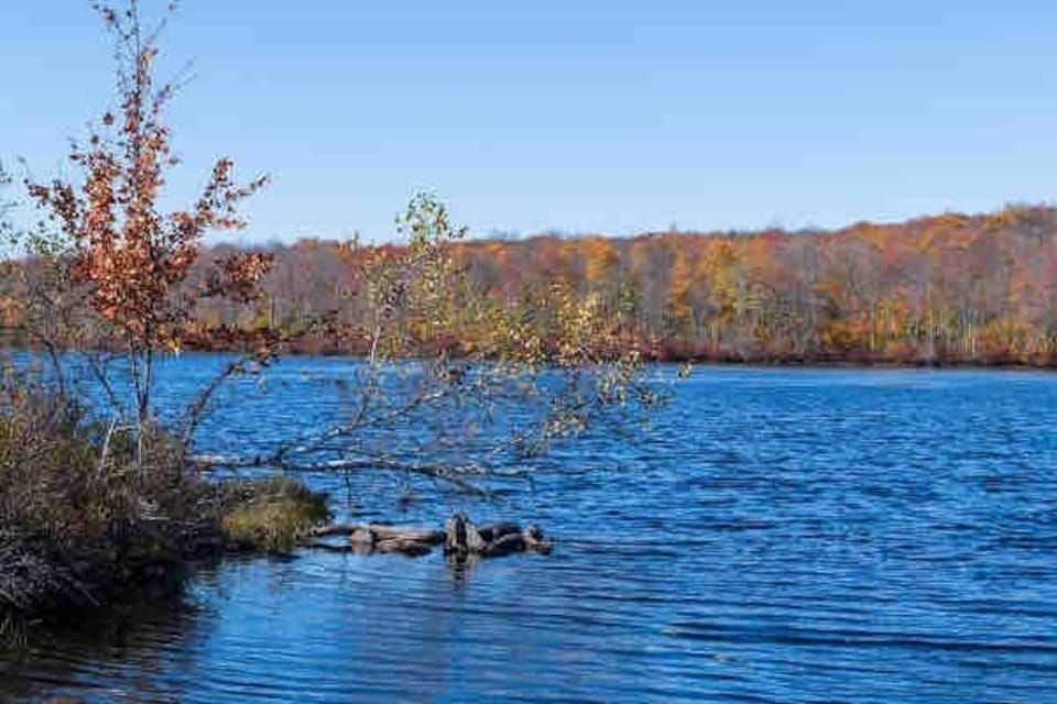 Tobyhanna State Park