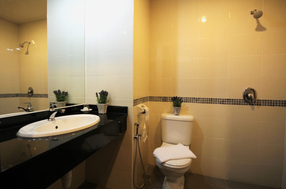 Shower, free toiletries, hair dryer, bidet