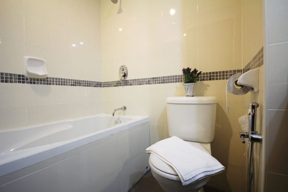 Shower, free toiletries, hair dryer, bidet