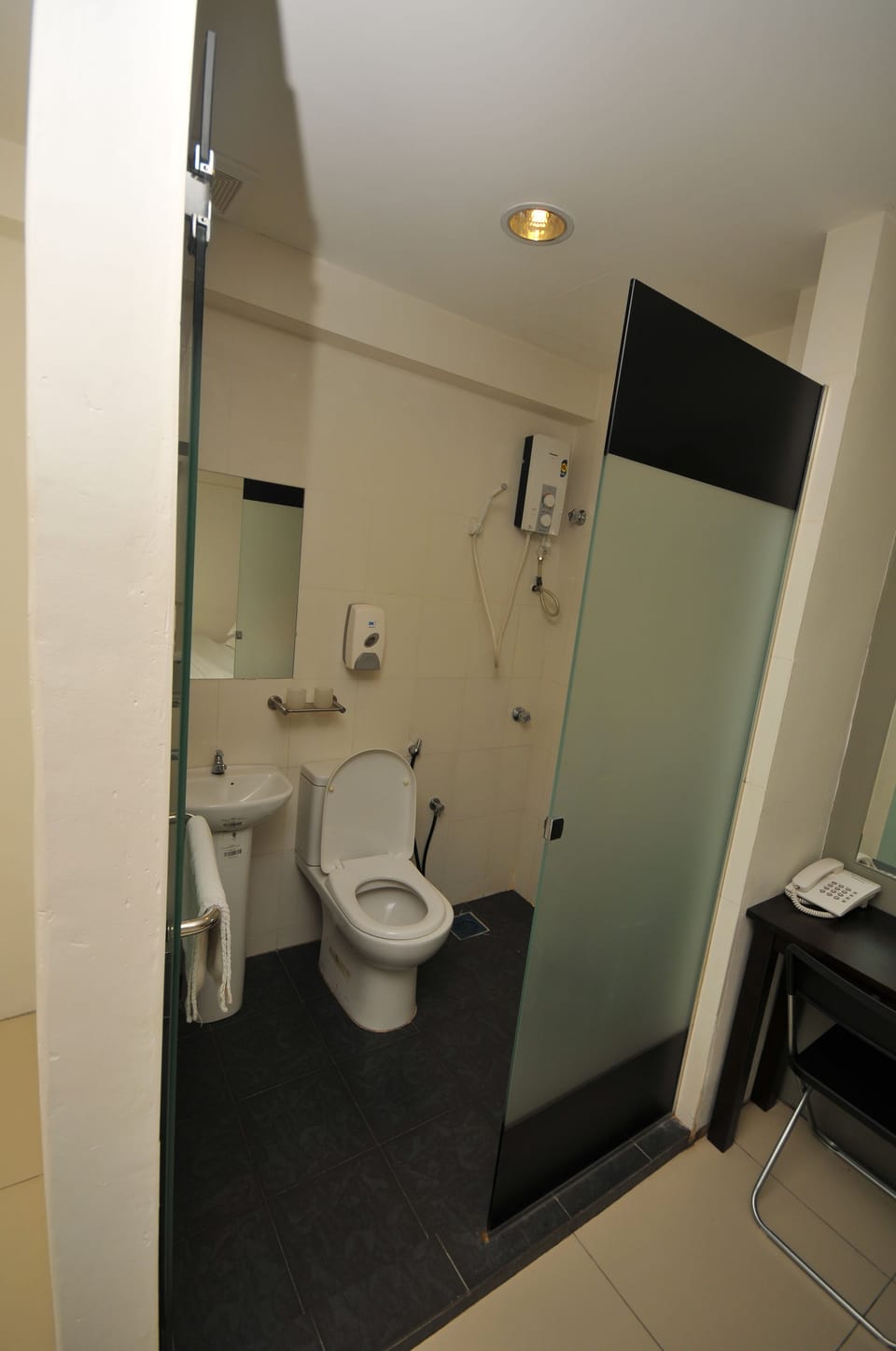 Shower, hair dryer, bidet, towels