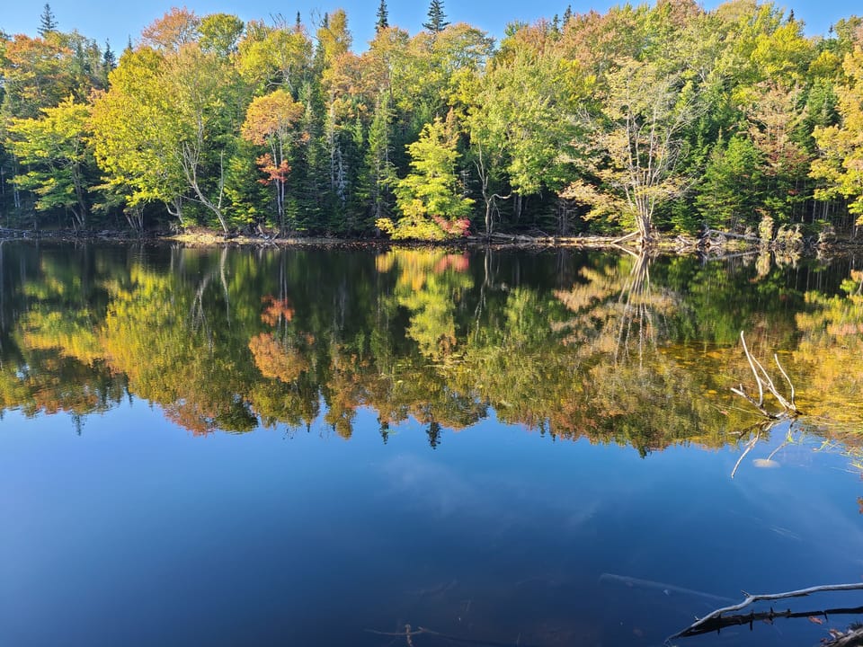 Enjoy the trail around the natural pond.