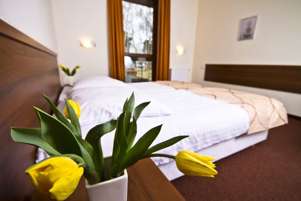 Double Room | Desk, iron/ironing board, free cribs/infant beds, free WiFi