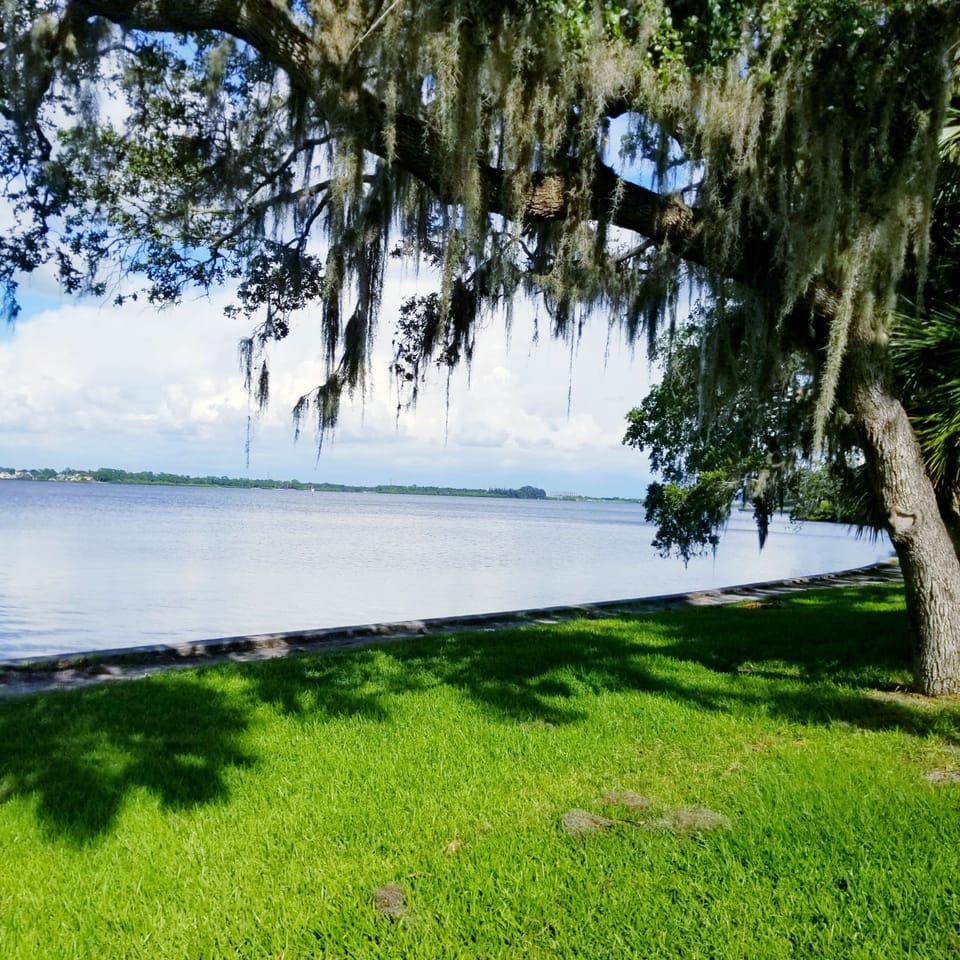 View from Philippe Park