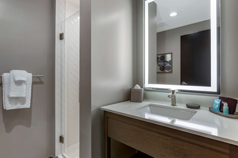 Standard Room, 1 King Bed, Non Smoking, Balcony (Larger Room) | Bathroom | Shower, rainfall showerhead, free toiletries, towels