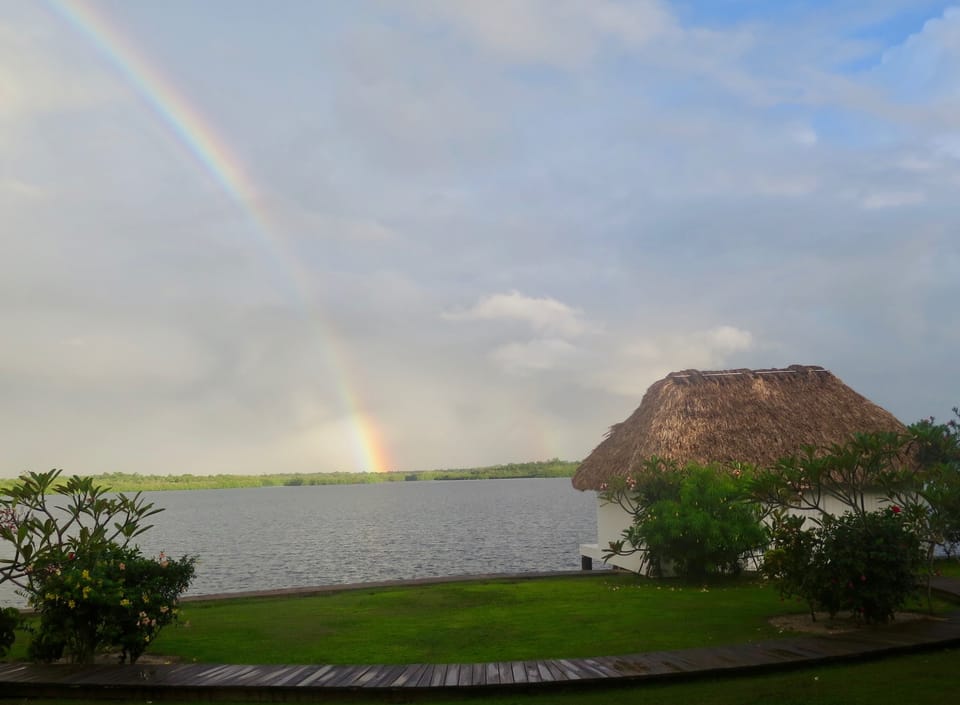 Body treatments, body wraps, body scrubs, facials