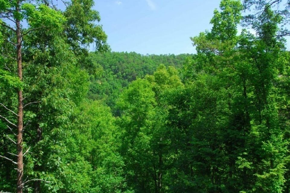 Wares Valley view