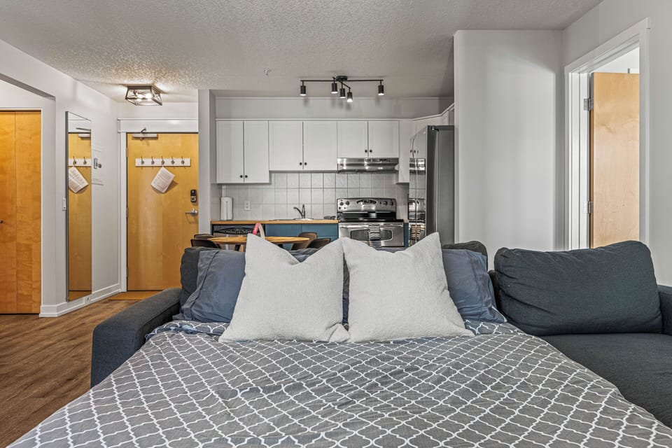 Double sofa bed with an option to replace with a queen pillowtop air mattress