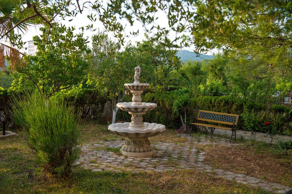 Image 15