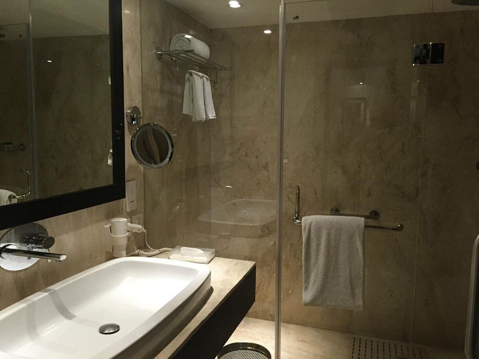 Deluxe Suite | Bathroom | Shower, free toiletries, hair dryer, slippers
