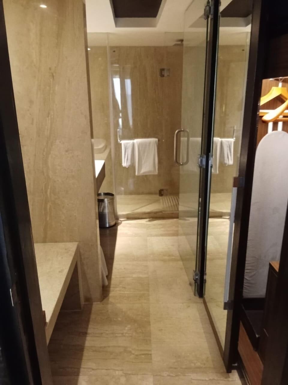 Deluxe Suite | Bathroom | Shower, free toiletries, hair dryer, slippers