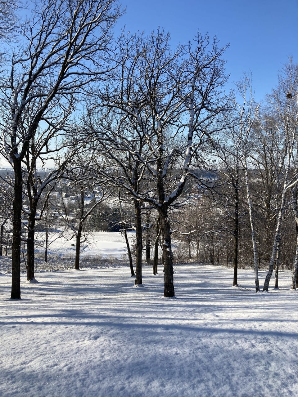 Winter wonderland abounds!