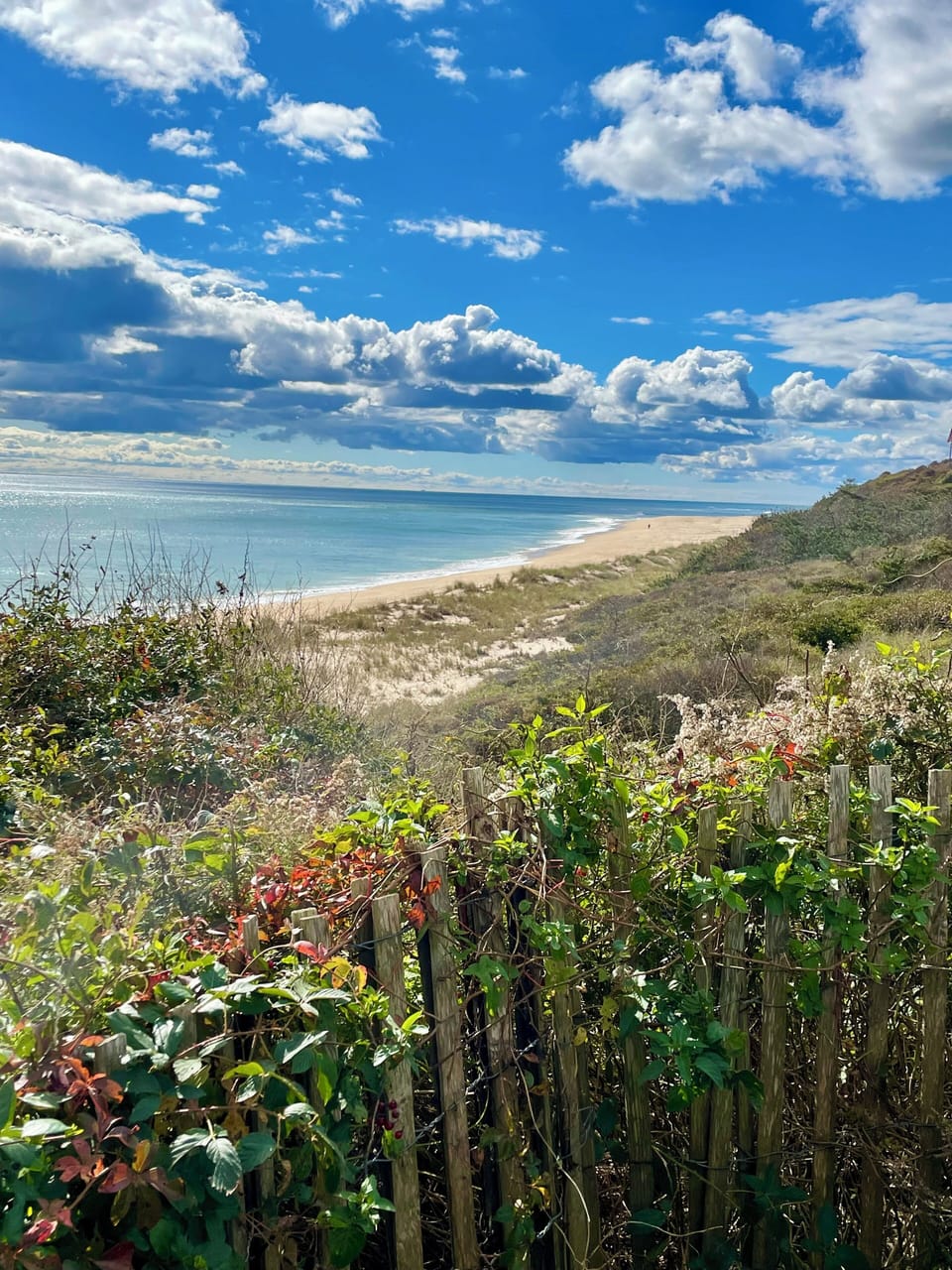 Explore Montauk & check out views like this on the Old Mtk Highway overlook!