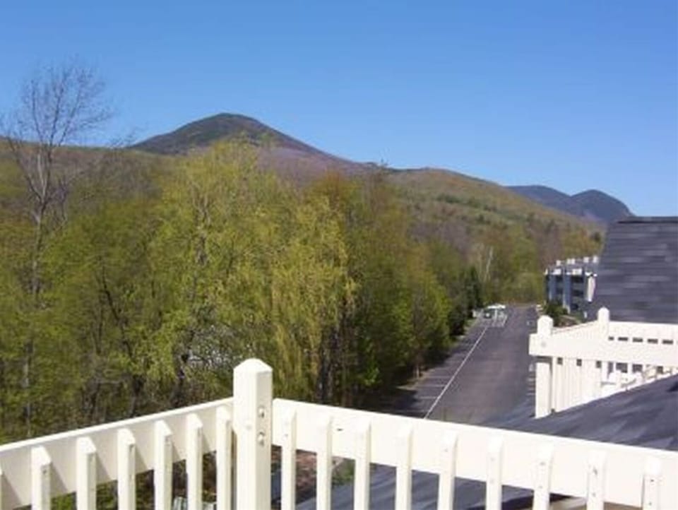 Mountain Views