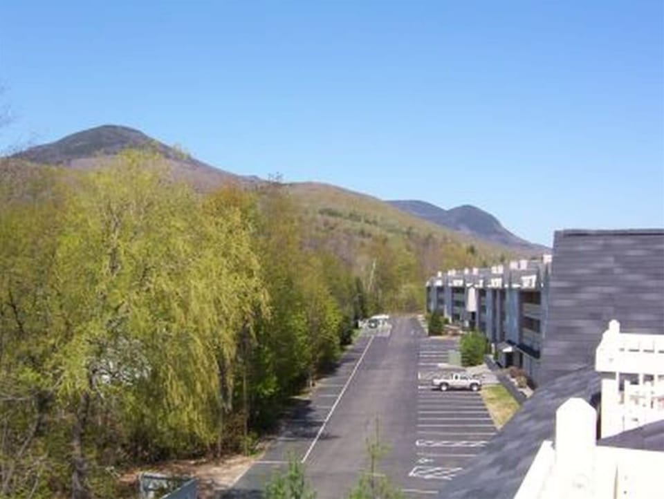 Mountain Views