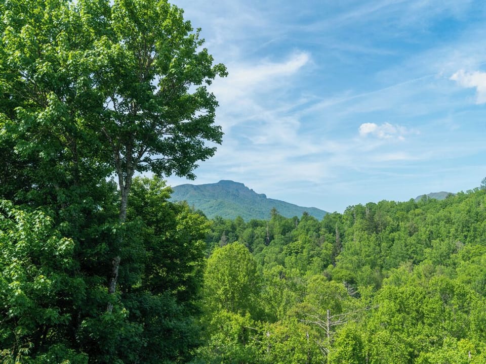Grandfather Mountain View from Deck Area