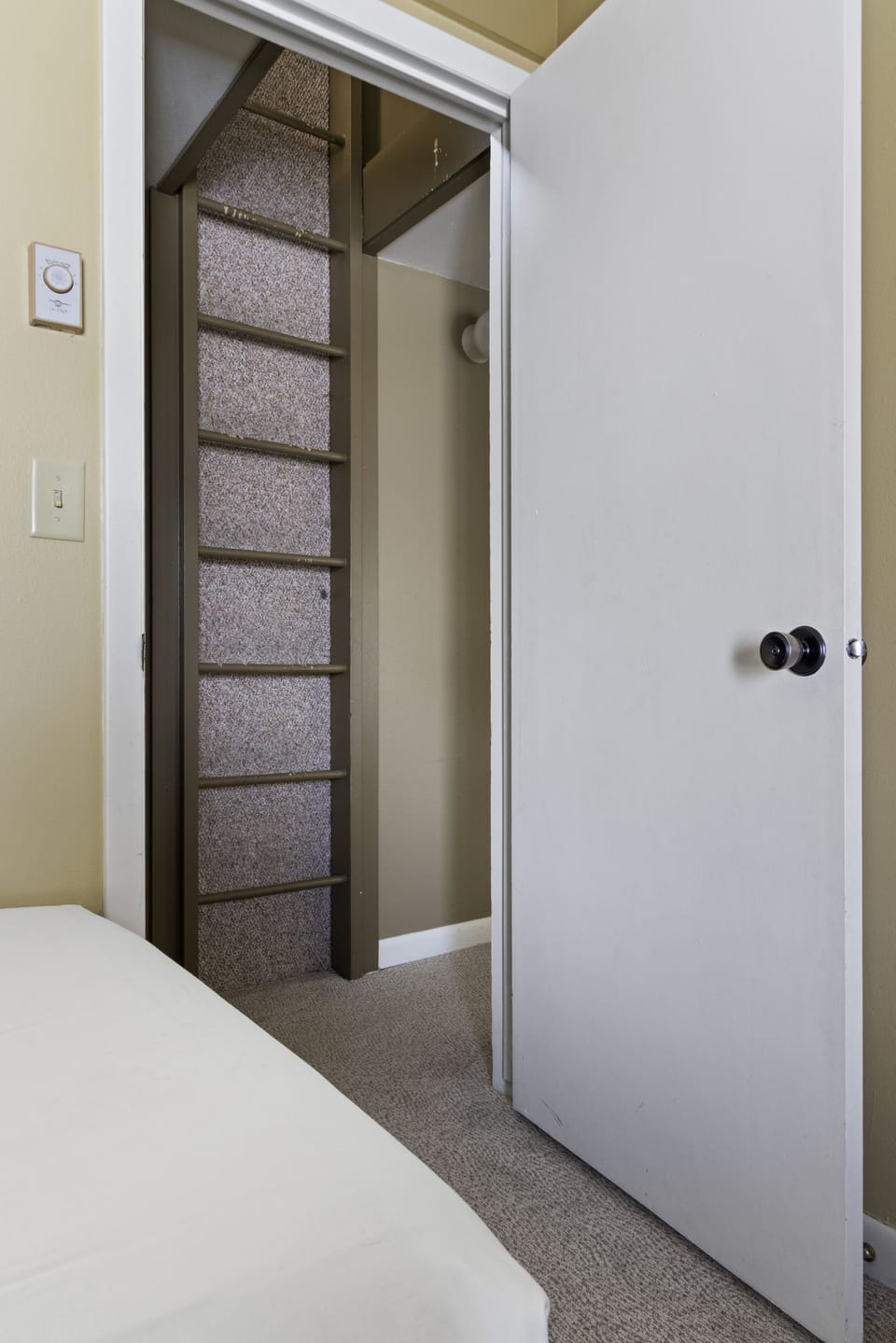 Ladder to Loft