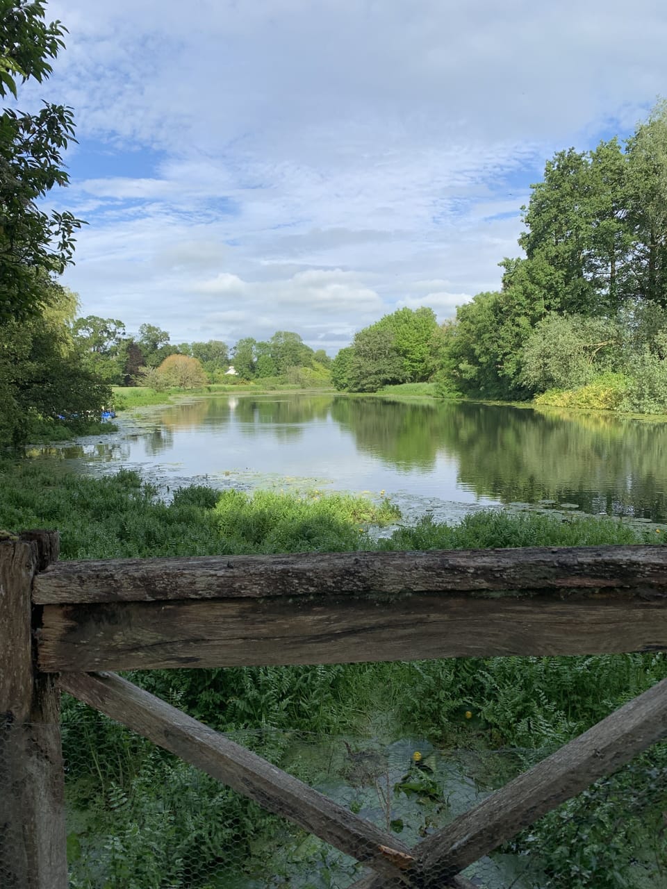 View up the lake