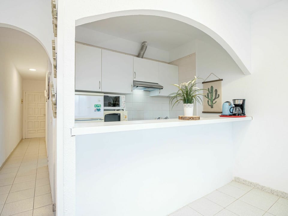 Plant, Building, Houseplant, Flowerpot, Interior Design, Wood, Floor, Flooring, Shelving