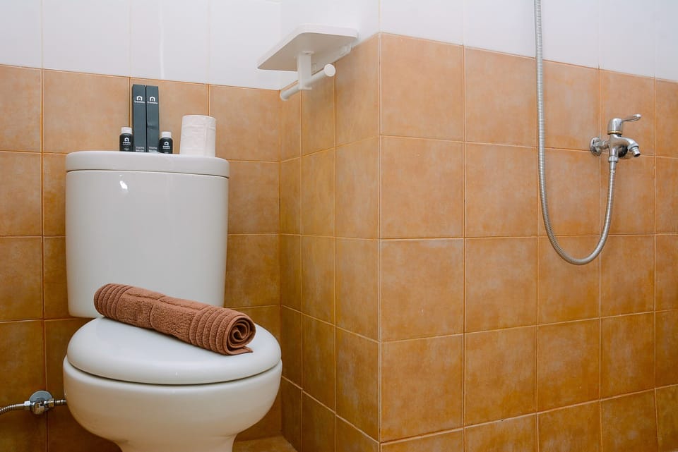 Room | Bathroom | Shower, free toiletries, towels