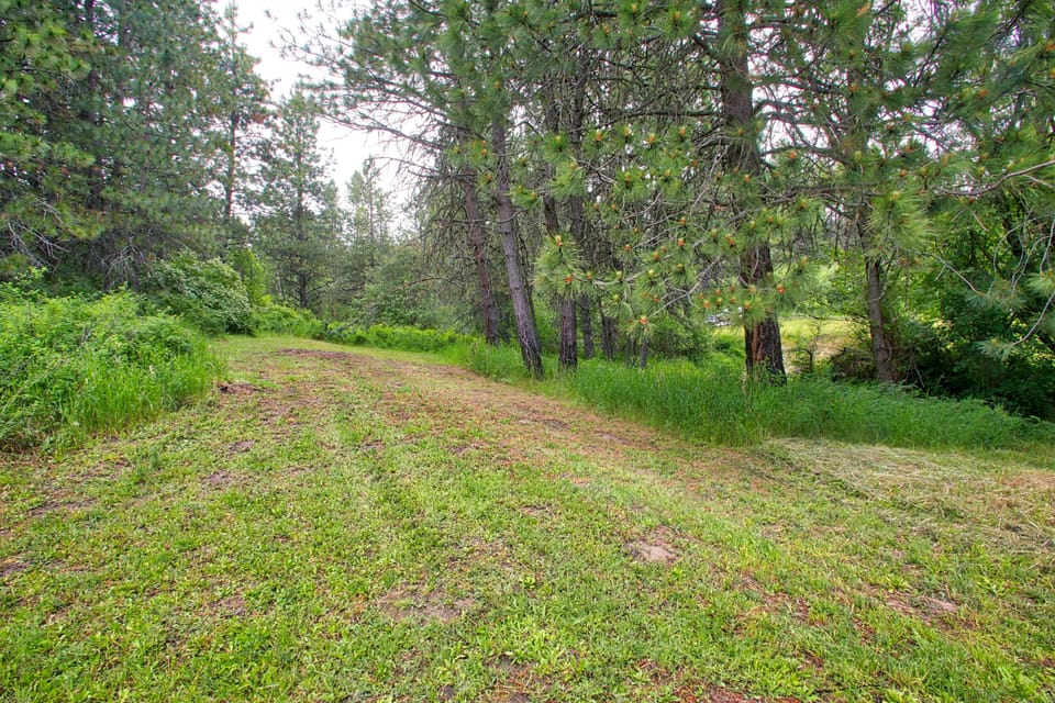 Space to play outdoors.