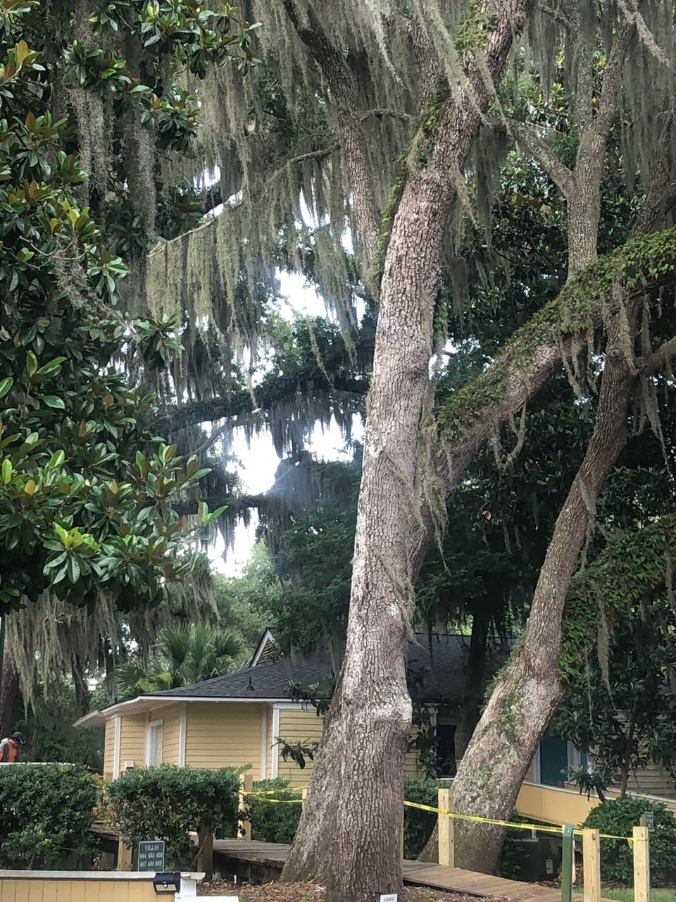 Property grounds