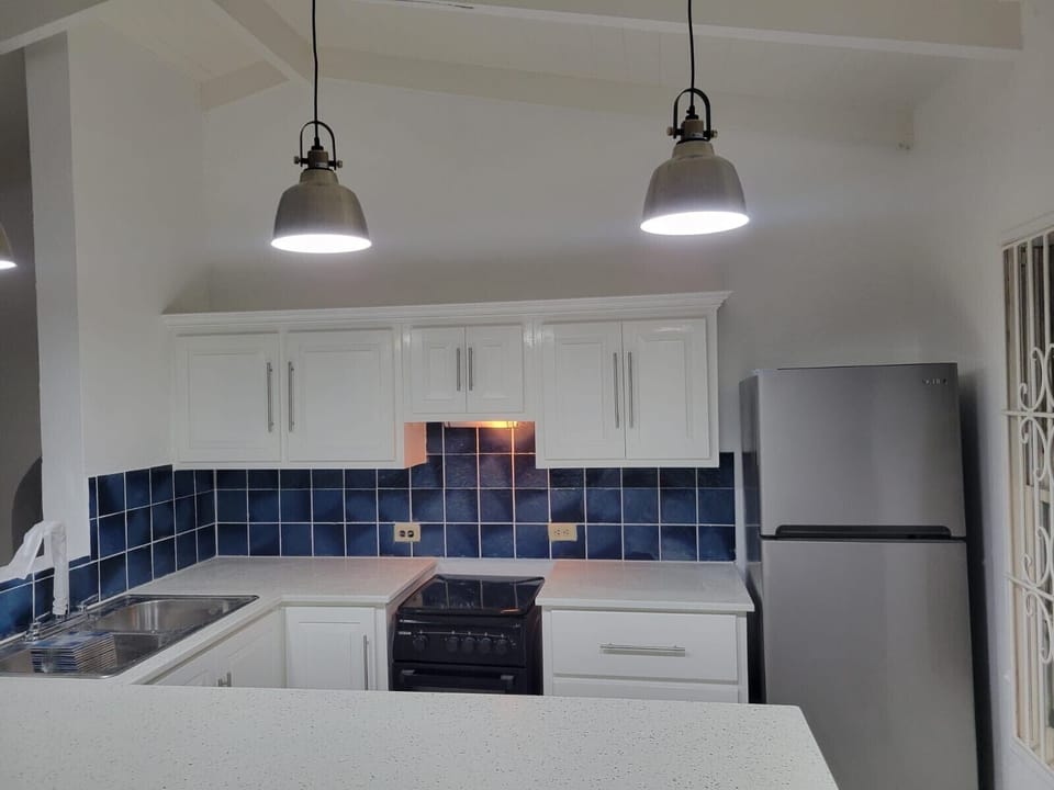 Brand new kitchen
