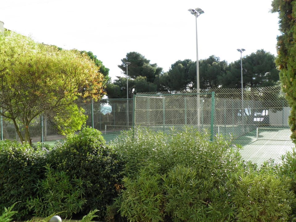 Sport court
