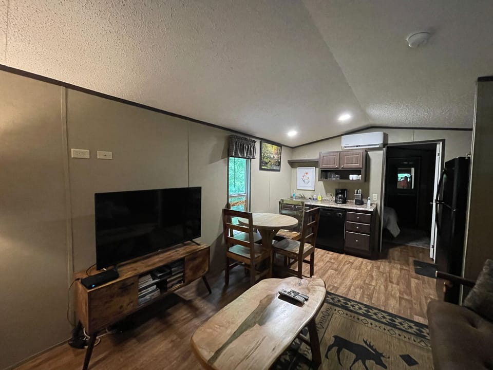 TV - Flat screen TV