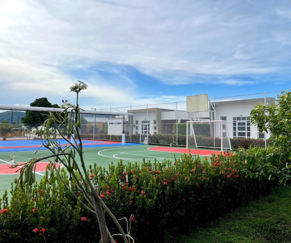 Basketball court