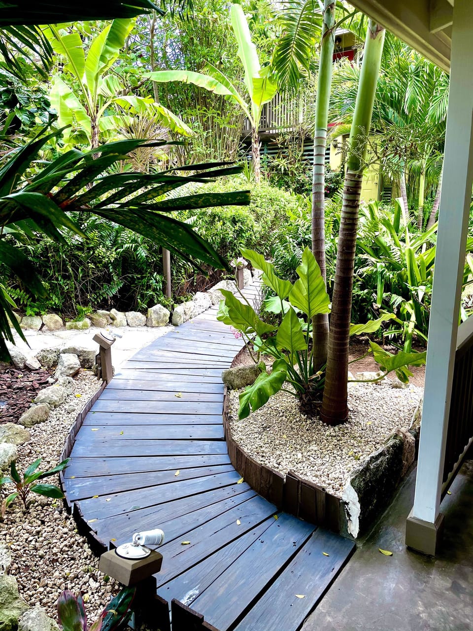 Every pathway leads to exquisite hidden gems of orchids, flowers and palm trees.